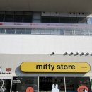 요기사이소 | [미피스토어 부산] 부산 영도 피아크 미피스토어 부산 방문 후기(주차정보 &amp; 가격정보 포함)