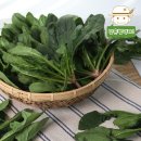 삼촌유통 이미지