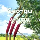 상리자전거교통안전교육장 | 대구 서구 가볼만한곳 상리공원 명소 주차 테니스장 자전거 걷기 코스