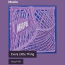 everylittlething