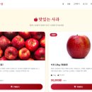 기일농장 | (AI코딩)1인 창업 필수! AI 코딩으로 나만의 자사몰 구축하기 (PG 연동 실전편)