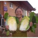 국지골부부농원