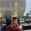 경주 보문호수,불국사,맥심가옥카페(2026년3월28일)