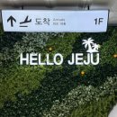 대정읍 상모리 3325-2 | 4월 5월 9월 10월 제주여행 2박3일 코스 추천 (경비 비용 숙소 렌트 내돈내산 맛집 총정리) - 둘째날