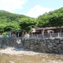 비둘기 펜션 이미지