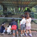 고추장익는마을 이미지