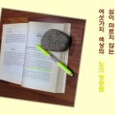 마르지않는환경