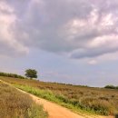 남매목장 이미지