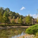 cu기흥고매점 맞은편 | 대구 군위 가볼 만한 곳 삼국유사 테마파크 완벽 후 기✨️(방문 가이드 꿀팁)