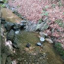 노순복 | 공주 동화속풍경 수영장, 계곡을 모두 즐길 수 있는 곳 | 대전근교 아이들 물놀이 추천