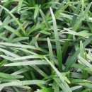 천지농장 이미지