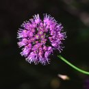 이상만행정사 이미지