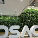 Playlist : Untitled, 겨울 | DSAC 브랜드 콘서트 [Playlist : Untitled 2, 가을] 공연 관람 후기