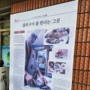 미락뽈락