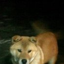 제주민박 이미지