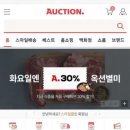 옥션 티스토리