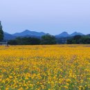 구미강정 이미지