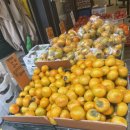 시온농산