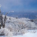 아이엠PC방 이미지