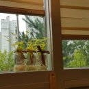 세종송담교회 이미지