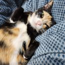 주식회사 메디플라자 이미지