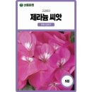 마켓핀토