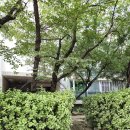 노원하나약국 이미지