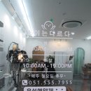 소이는다르다 네이버블로그