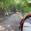 분당-391 이미지