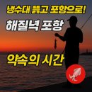 임곡슈퍼 | 🎣 포항으로 질주한 이유 — 냉수대의 그림자