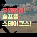 청춘호프OK | [스토리텔러] 부딪혀라! 호프풀 스테이크스!
