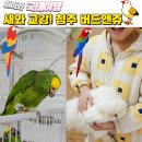 아름버드 인근 | 청주 아이와 가볼만 한 곳 청주키즈카페 교감체험카페 버드앤쥬