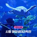 생태터널입구 | [경기도/시흥] 해양생태과학관 조카랑 일요일 방문 후기 (예약방법)