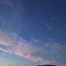 참다운요양병원 이미지