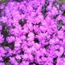 용용농장 이미지