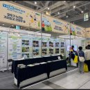 개화(아) 이미지