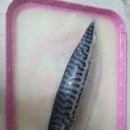 고등어아가씨 이미지