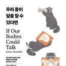 제임스4 이미지