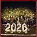 지사 | 광주·순천 신혼여행 준비 여기서 끝! 팜투어(순천지사) 허니문 상담 후기