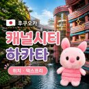 후쿠오카 캐널시티 하카타 텍스프리 위치, 하는 방법 (준비물)