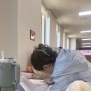한국체육대학교(도서관앞) 네이버블로그