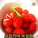 요미카야