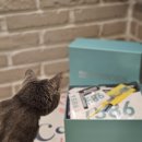 명중카 | 춘천 가을여행겸 춘천 그란폰도 후기