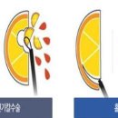 엘비뇨기과의원 이미지