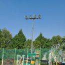 구월2동-19 이미지