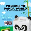 판다팩