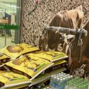 인제농협 본점 이미지