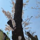 2021.4.6 봄파머스가든 이미지