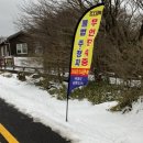 주정차-21 이미지
