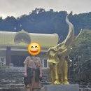 우담바라를 찾아서 와우정사
